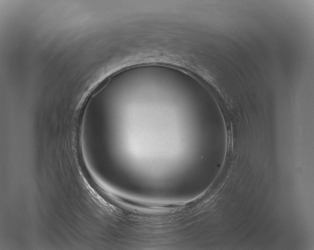X0000052951500200507151655