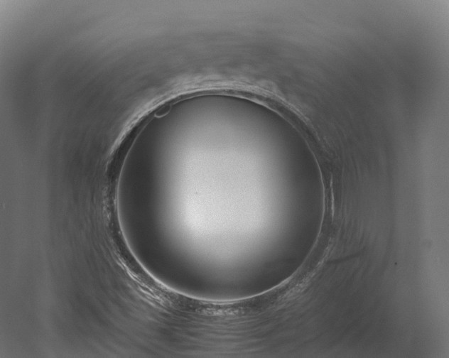 X0000052951501200507151655