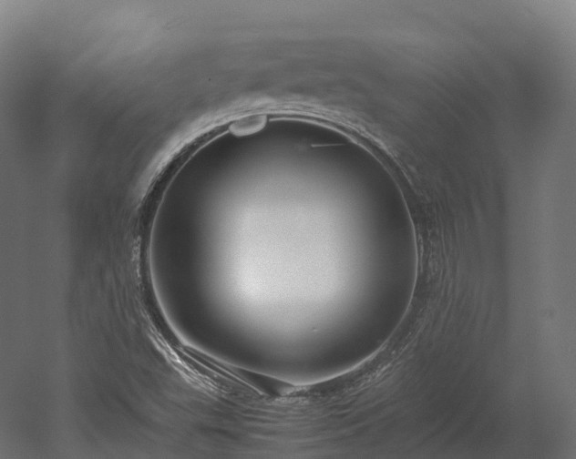 X0000052951503200507151655