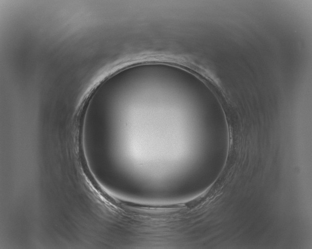 X0000052951504200507151655