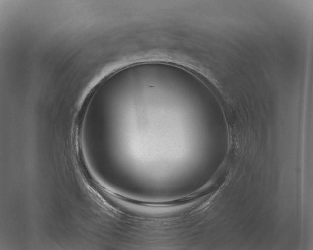 X0000052951510200507151655