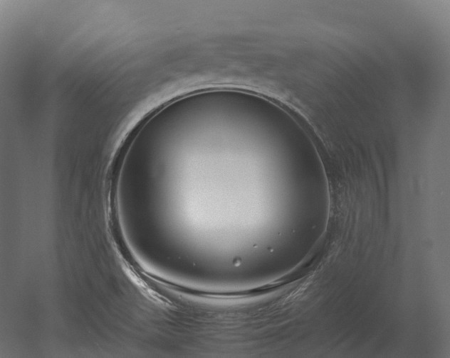 X0000052951511200507151656