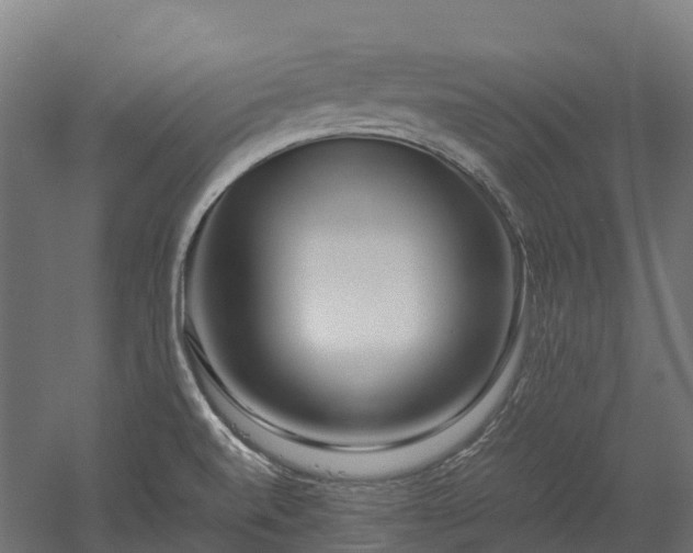 X0000052951520200507151656