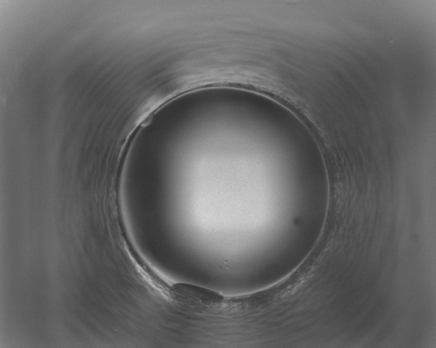 X0000052951521200507151656