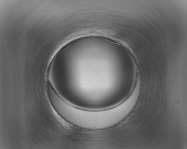 X0000052951524200507151656