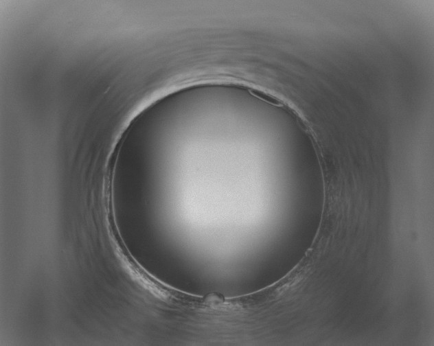 X0000052951526200507151656