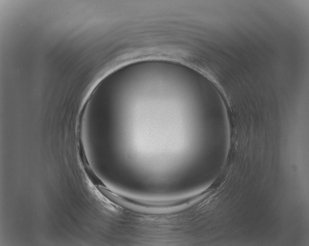 X0000052951532200507151656