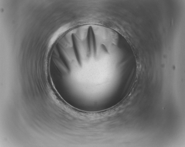 X0000052950006200507221223