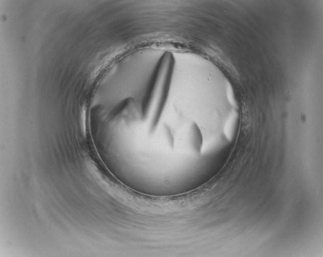 X0000052950014200507221223