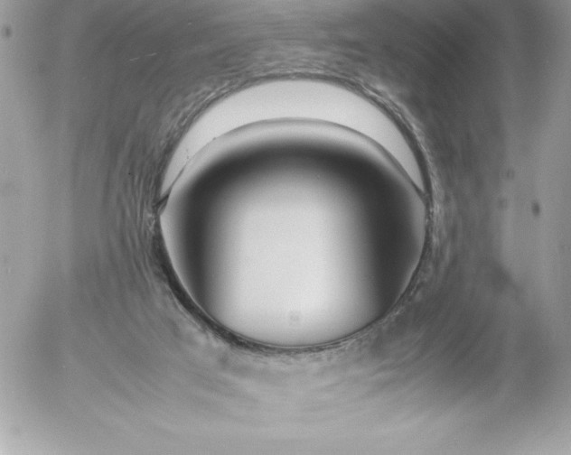 X0000052950017200507221223