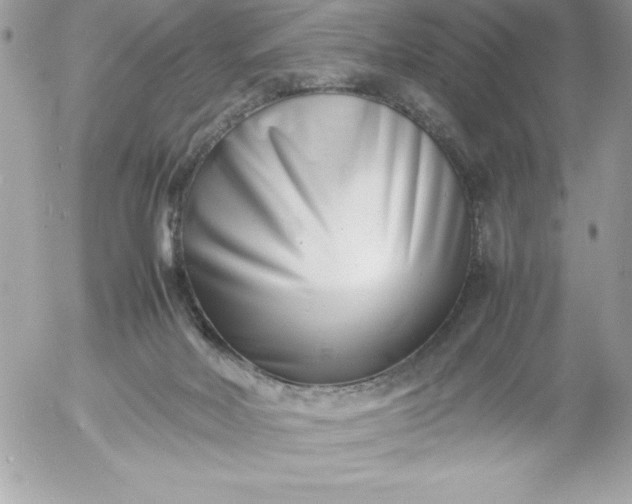 X0000052950026200507221223