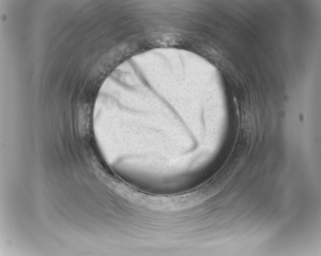 X0000052950030200507221223