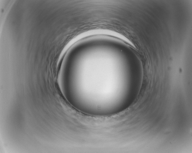 X0000052950037200507221223