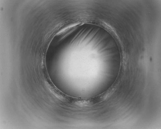 X0000052950065200507221222