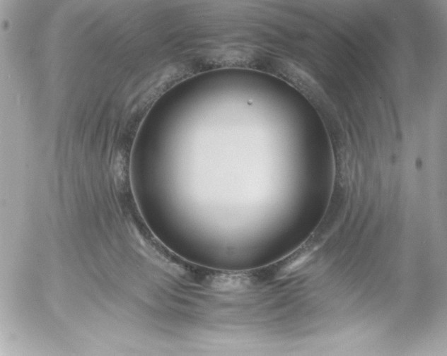 X0000052950077200507221222