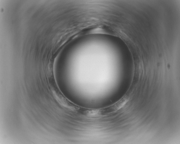 X0000052950088200507221223