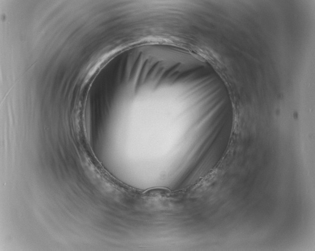 X0000052950098200507221222