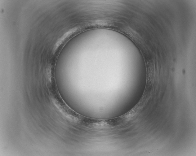 X0000052950112200507221222