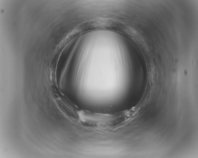 X0000052950115200507221222