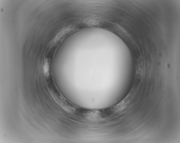X0000052950124200507221221