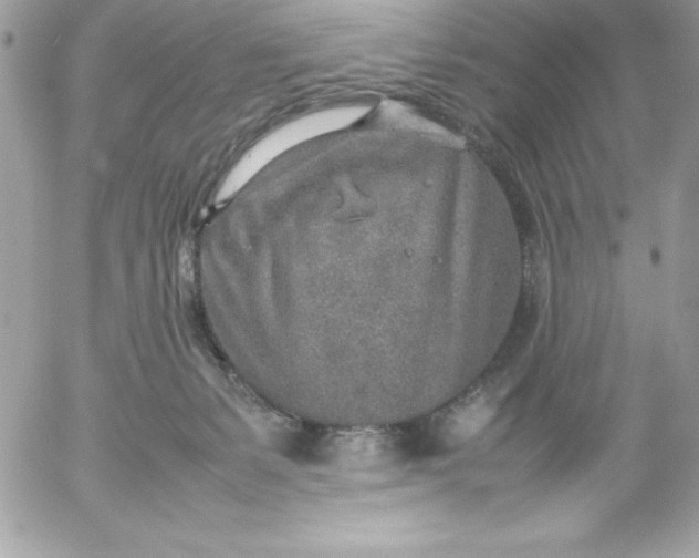 X0000052950127200507221221