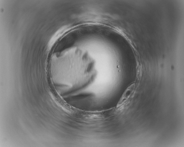 X0000052950151200507221220