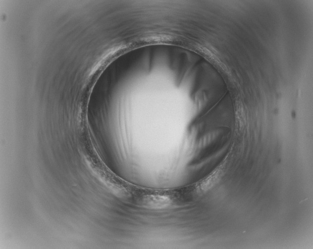 X0000052950159200507221221