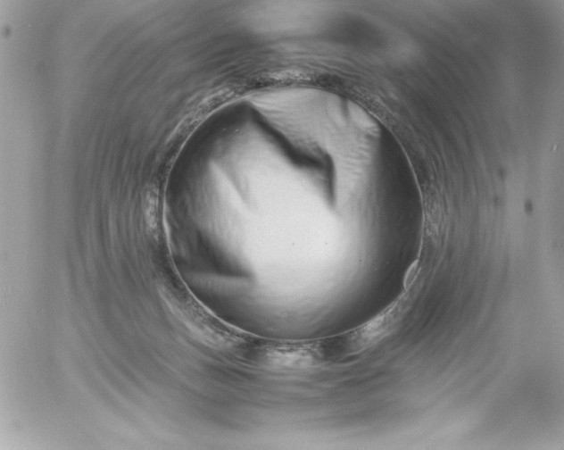 X0000052950175200507221221