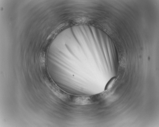 X0000052950179200507221221