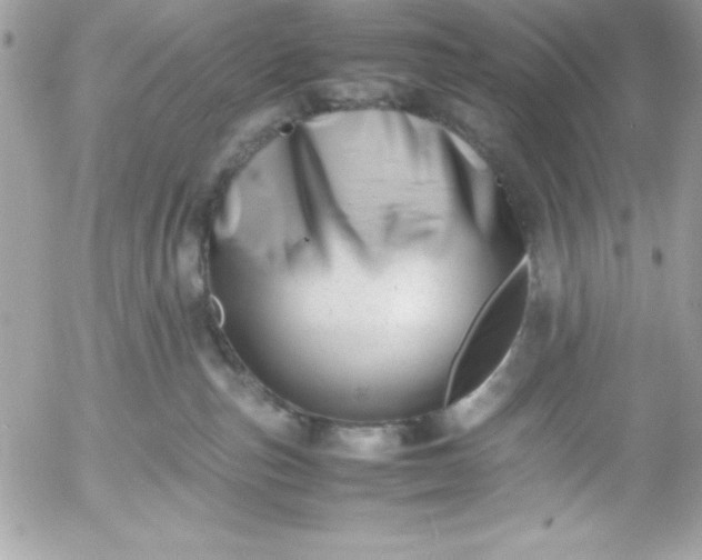 X0000052950187200507221221