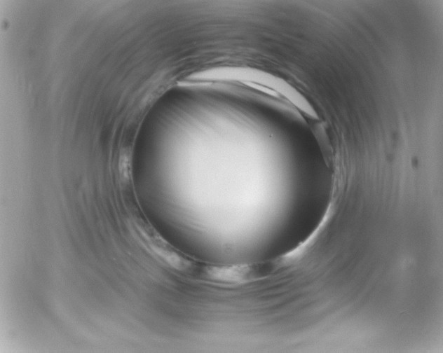 X0000052950191200507221221