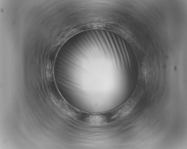X0000052950218200507221220