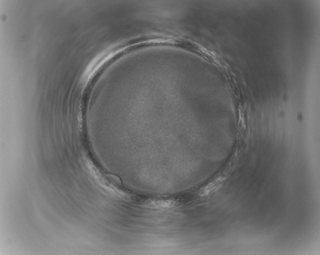 X0000052950247200507221219