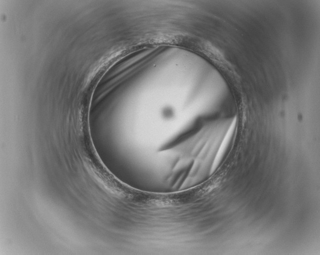 X0000052950250200507221219