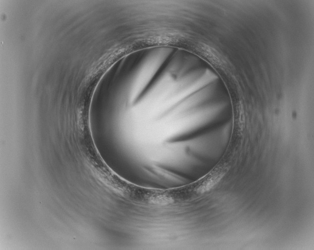 X0000052950258200507221219