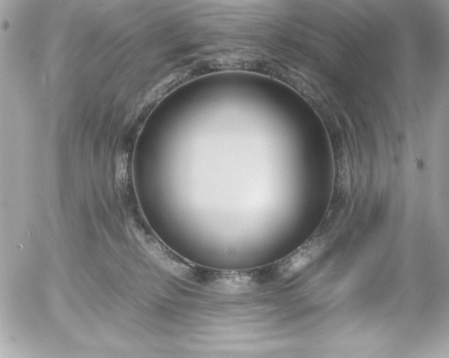 X0000052950278200507221219