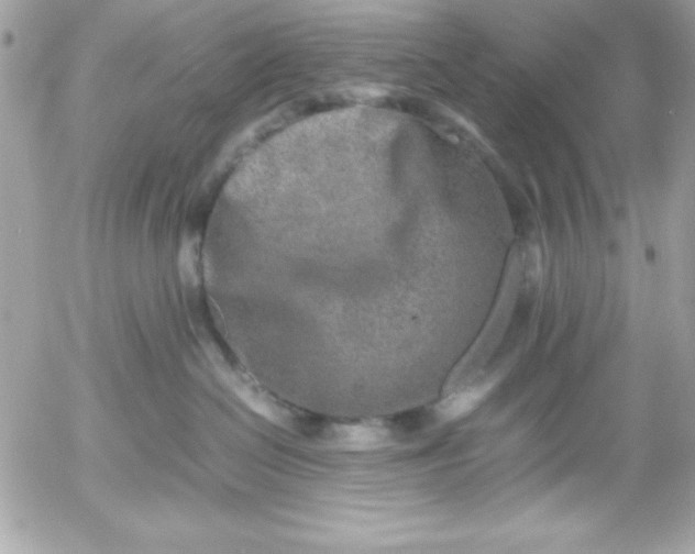 X0000052950286200507221219