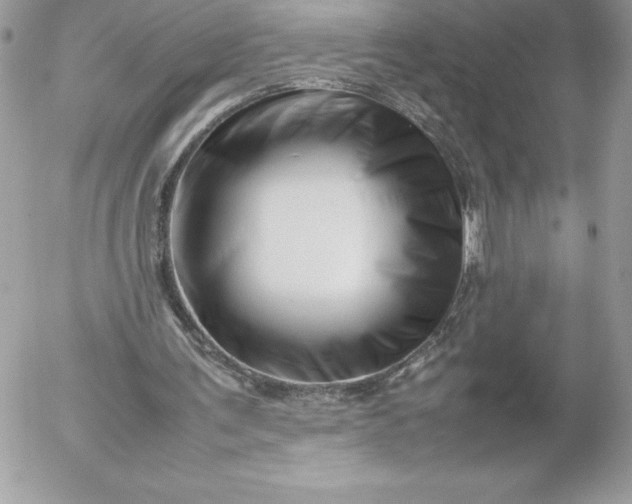 X0000052950291200507221219