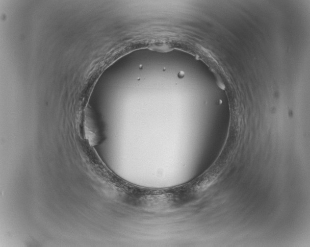 X0000052950307200507221218