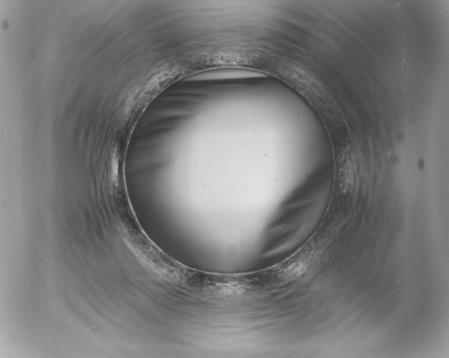 X0000052950310200507221218