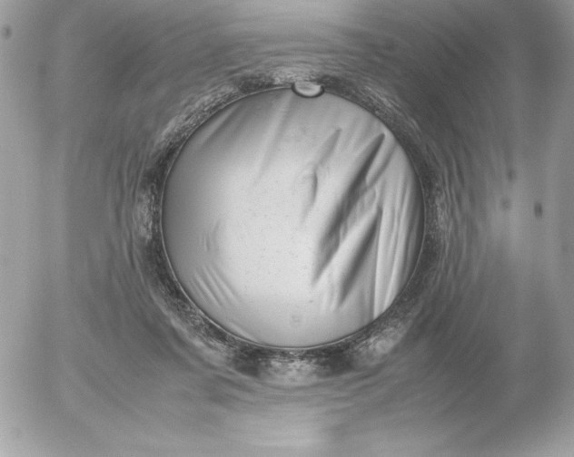X0000052950311200507221218