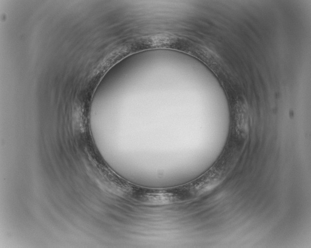X0000052950316200507221218