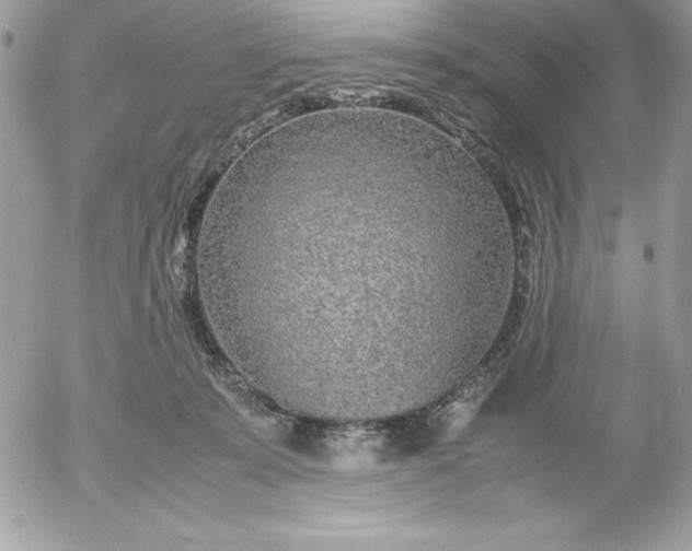 X0000052950319200507221218