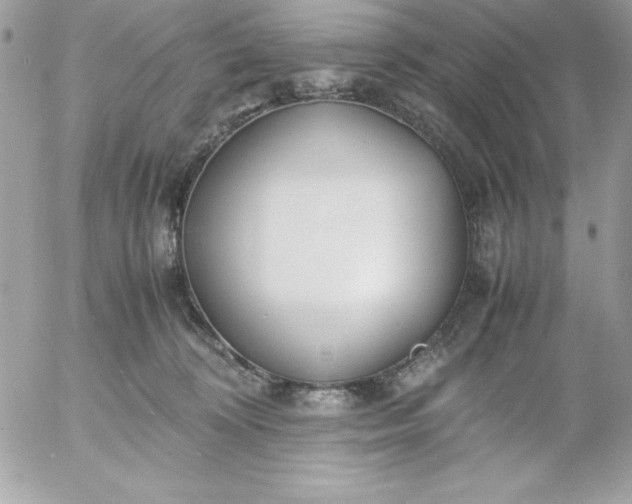 X0000052950324200507221218