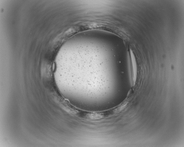 X0000052950327200507221218