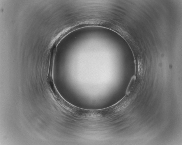 X0000052950348200507221217