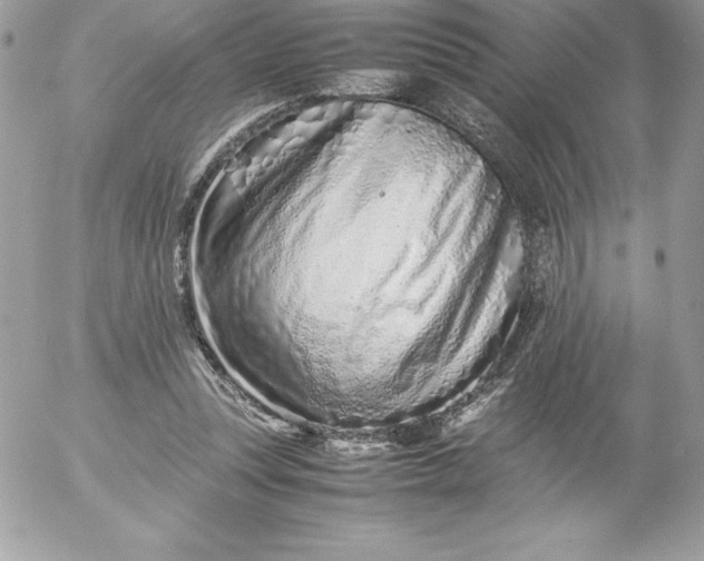 X0000052950351200507221217