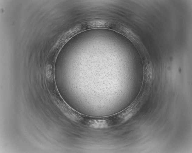 X0000052950361200507221218