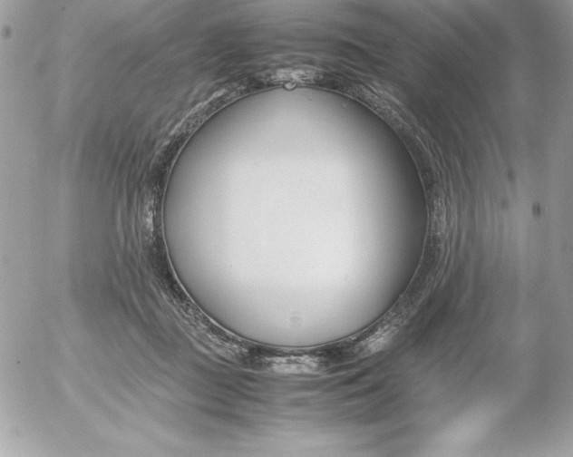 X0000052950363200507221218