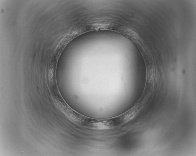 X0000052950365200507221218